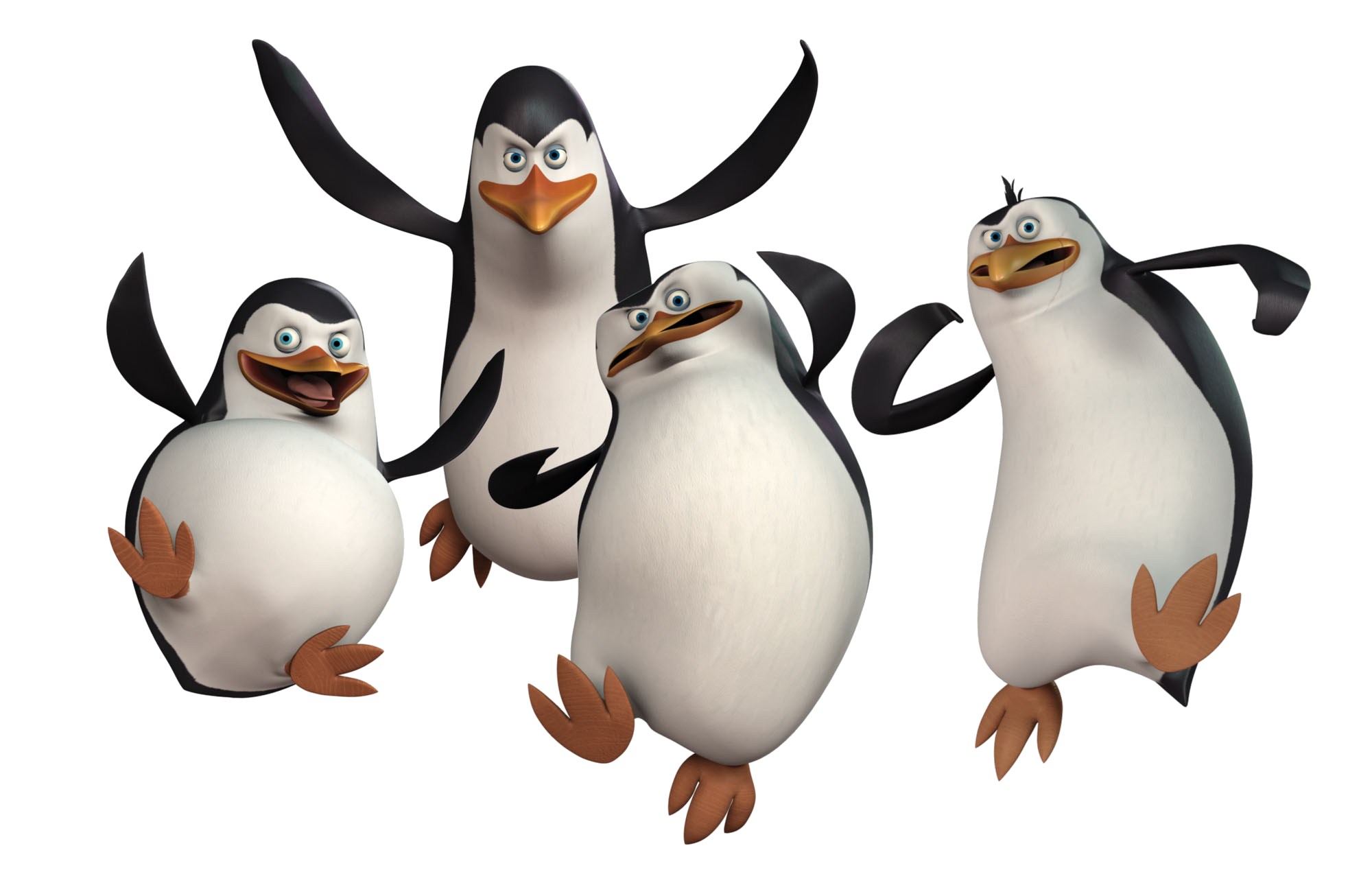 Penguin PNG HD