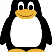 Penguin PNG Images