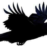 Raven PNG Bild