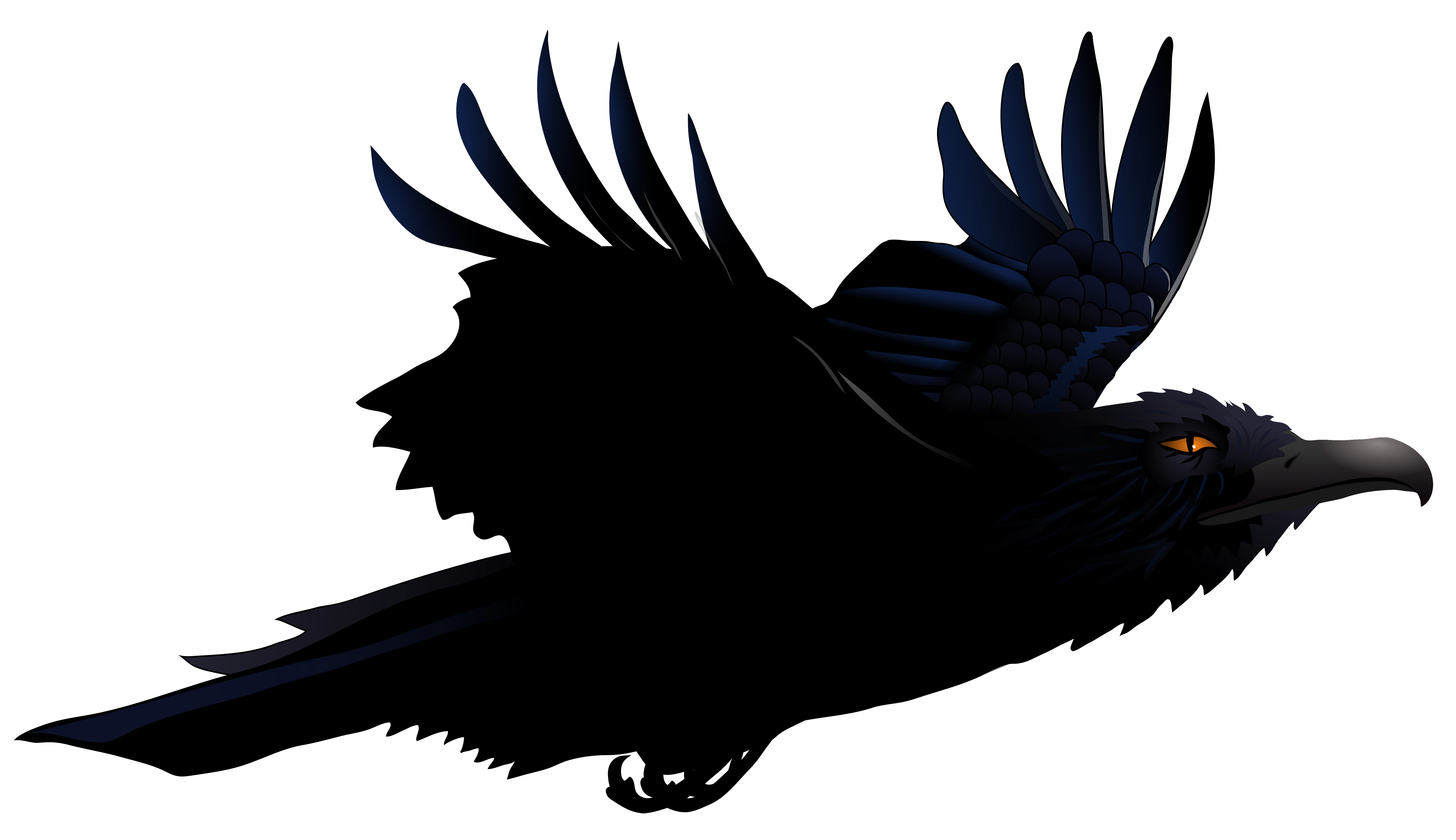 Raven PNG Bild