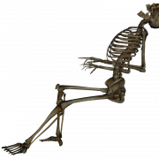 Skeleton descarga gratuita png