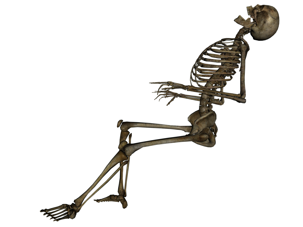 Skeleton Free Download PNG