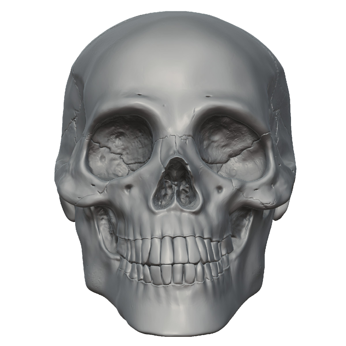 Skeleton Head Free PNG Image