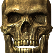 Skeleton Head PNG
