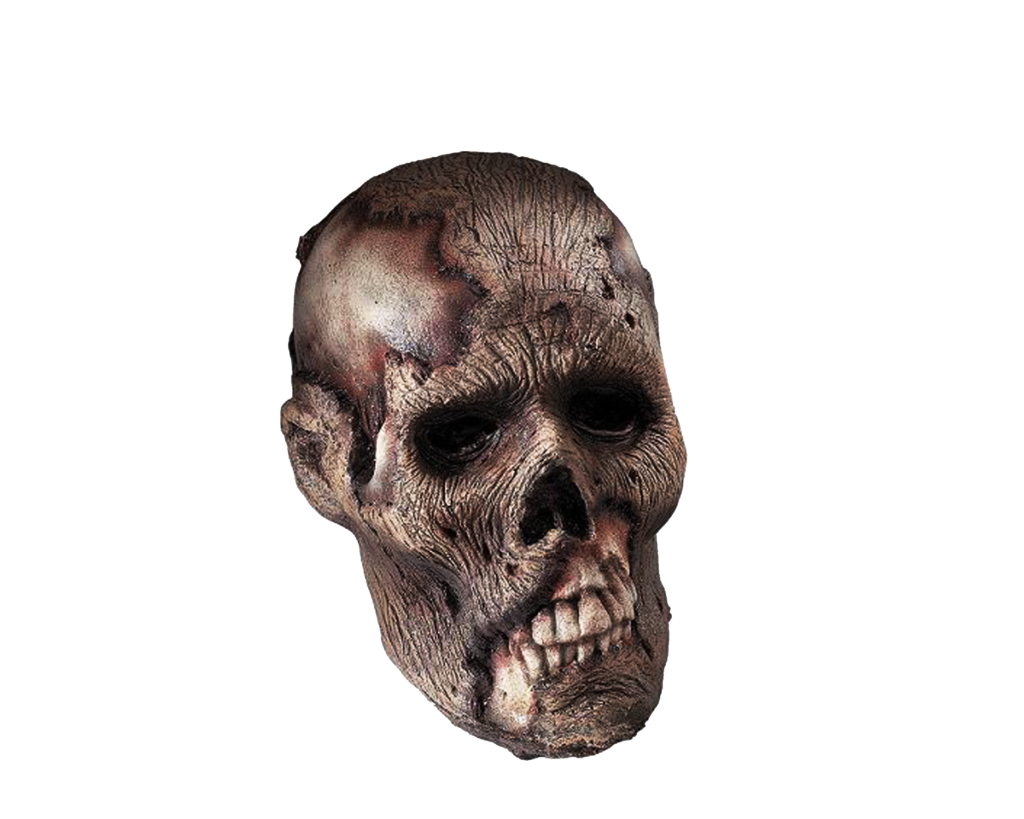 Skeleton Head PNG Clipart