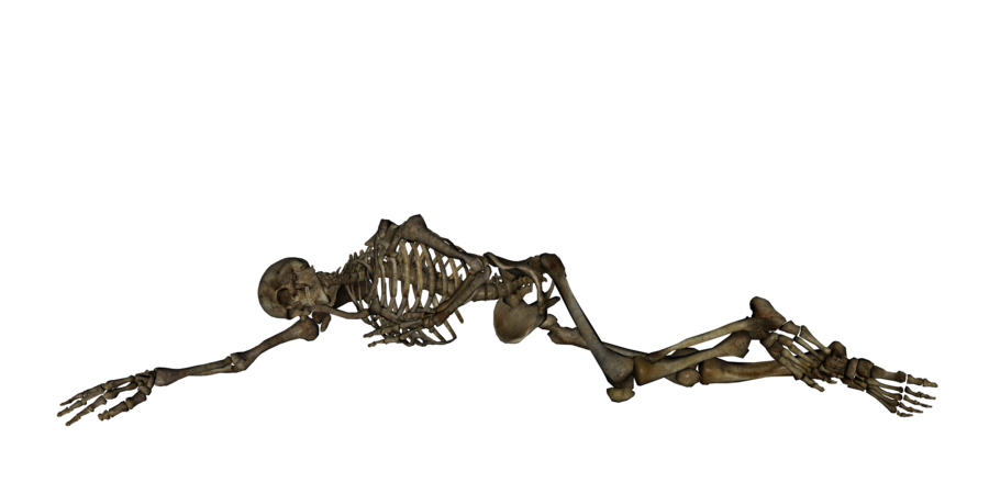Esqueleto png clipart