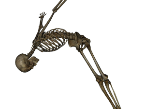 ภาพ Skeleton PNG