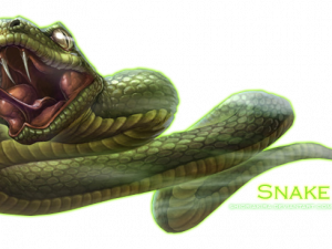 Snake PNG Clipart