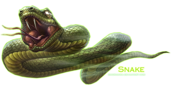 Змея PNG Clipart