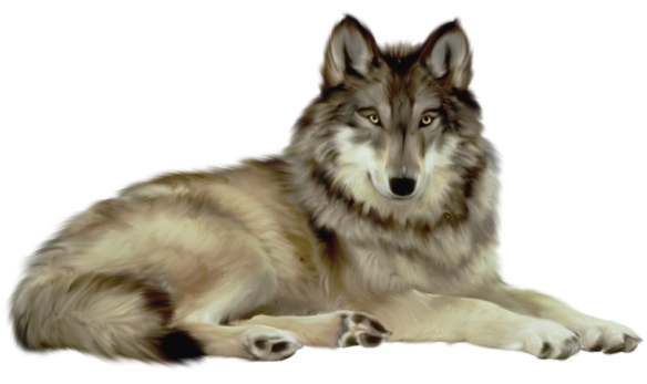 Wolf PNG -bestand