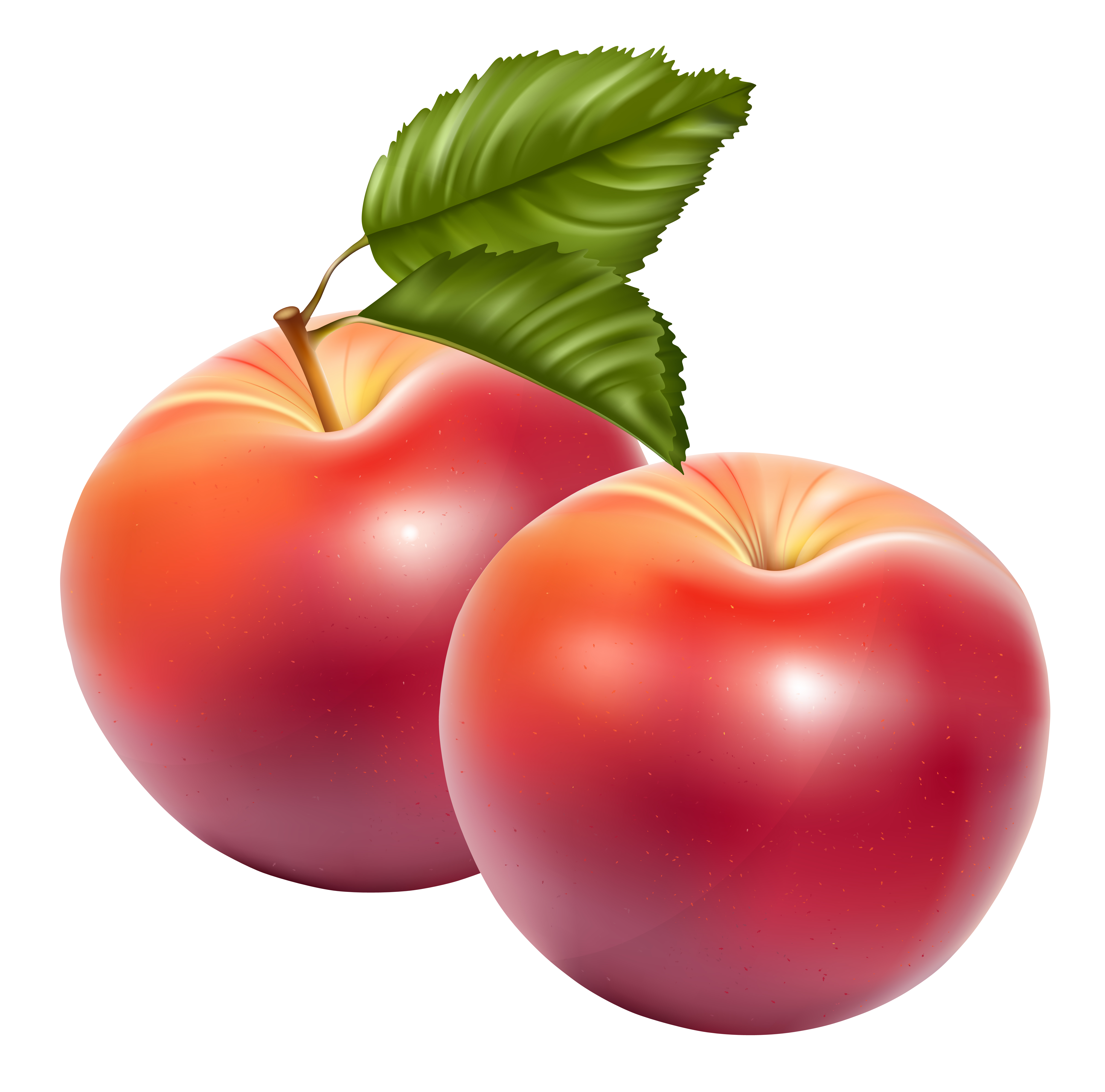 Immagine PNG di frutta di mele