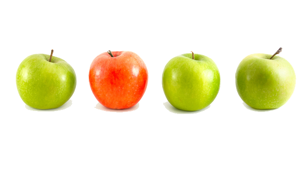 Immagine PNG di frutta mela