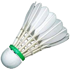 Badminton trasparente