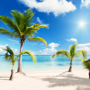 Beach Download PNG