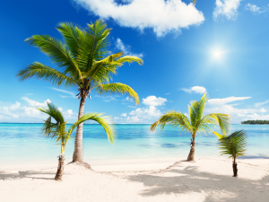 Beach Download PNG