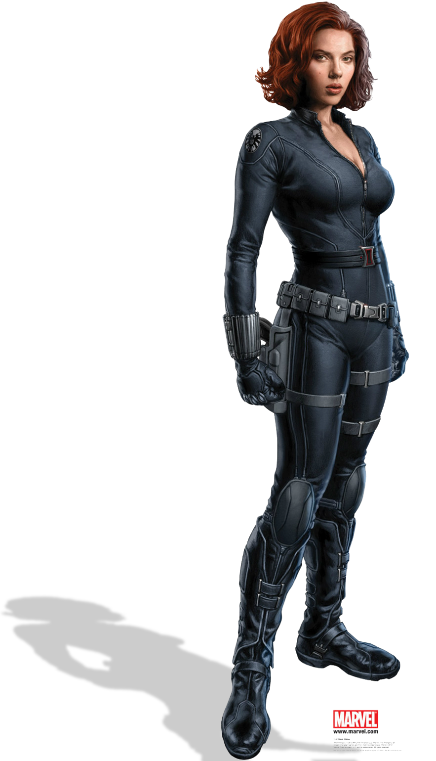 Black Widow PNG Image