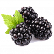 Blackberry Fruit Gratis Unduh PNG