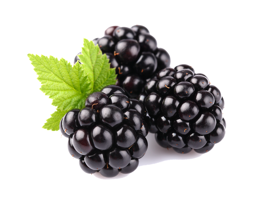 Download gratuito di blackberry frutta png