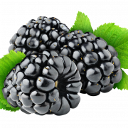 Gambar png gratis buah blackberry