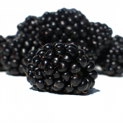 Blackberry Fruit PNG