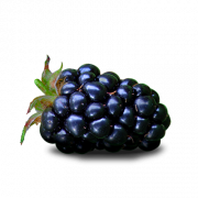 Blackberry Fruit PNG File