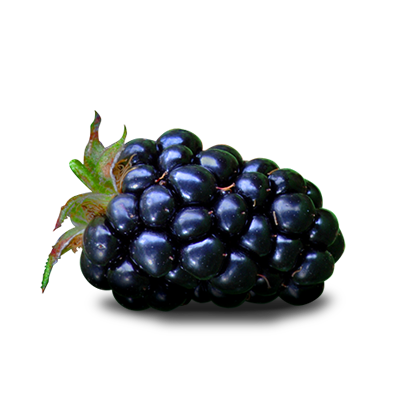 File PNG di Blackberry Frutta