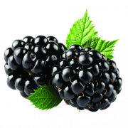 Imagen de PNG de fruta de blackberry