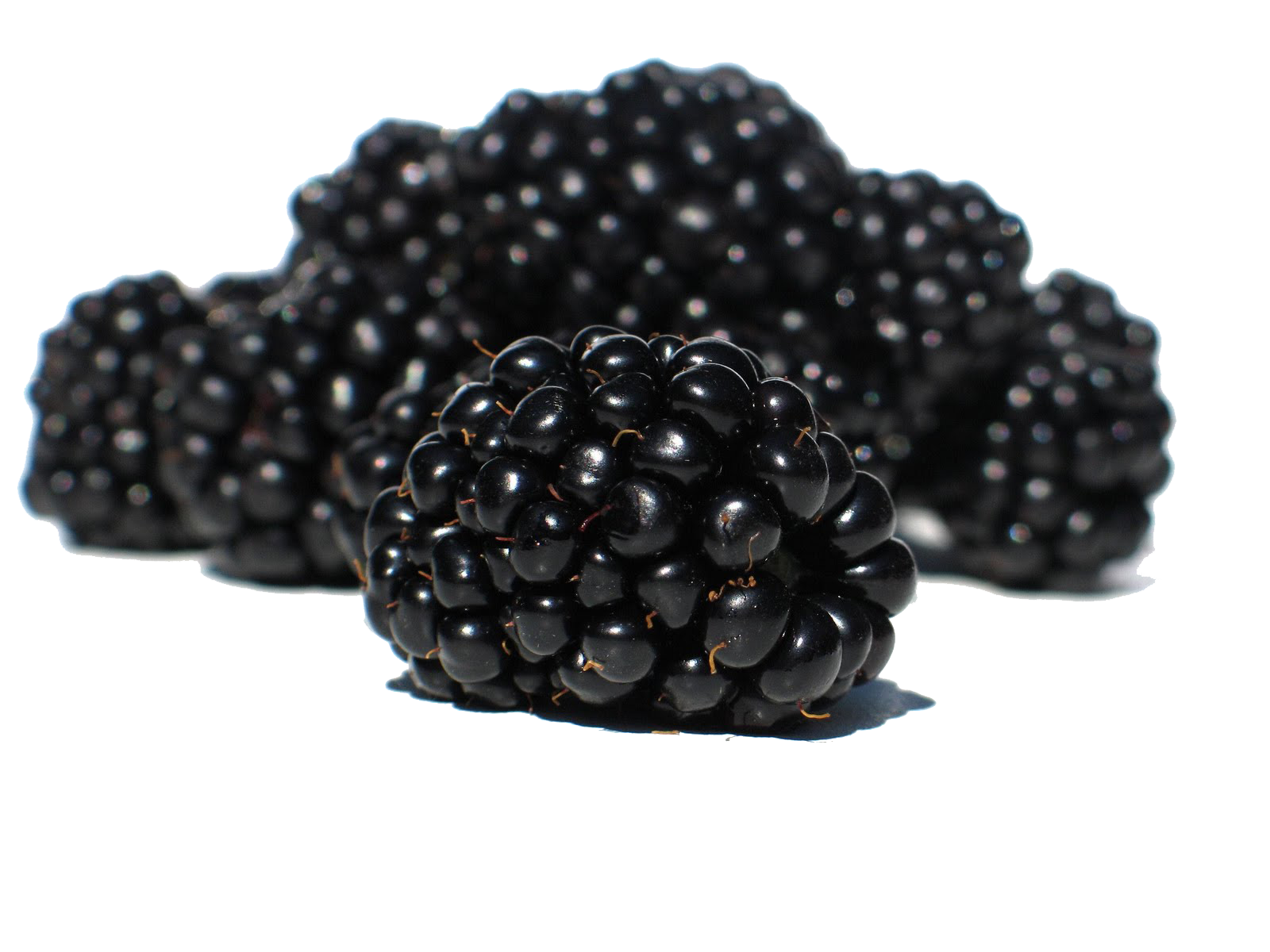 Blackberry Frutto png