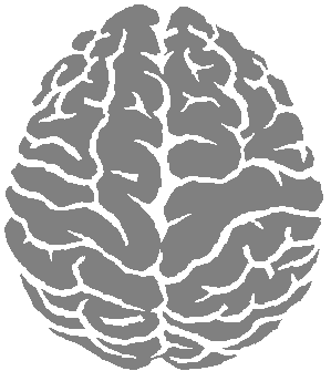 Brain PNG Clipart