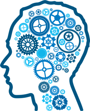 Brain PNG Picture