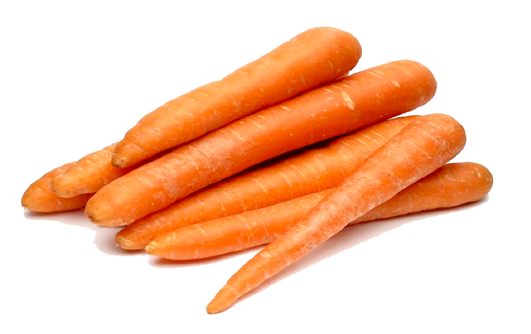 Téléchargement de la carotte PNG