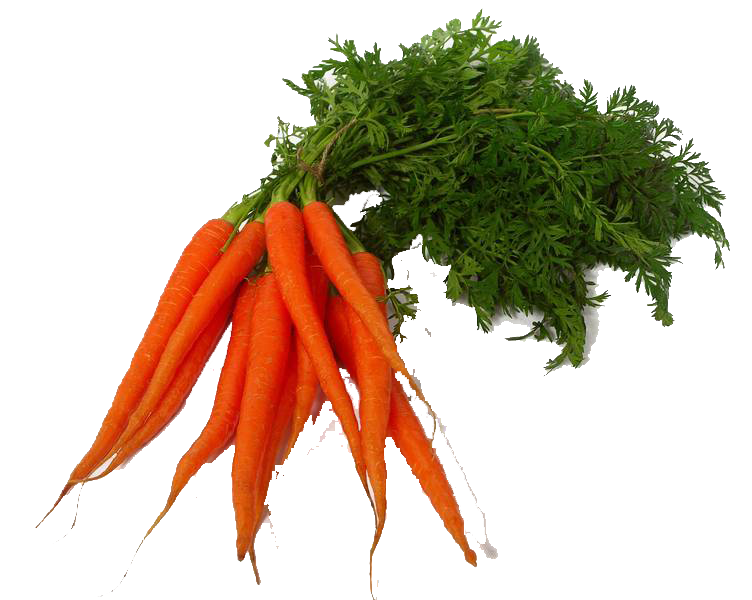 Carrot PNG Clipart