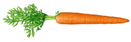 Carrot PNG Pic