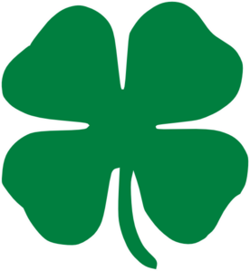Clover Png Picture