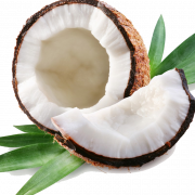 Coconut Gratis Unduh PNG