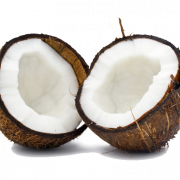 Gambar png gratis kelapa