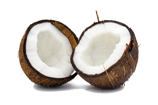 Coconut Free PNG Image