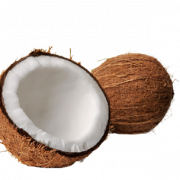 Coconut PNG Clipart