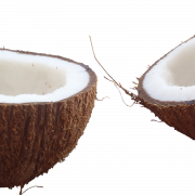 Coconut PNG HD