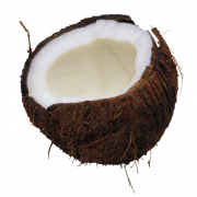 Image PNG de noix de coco