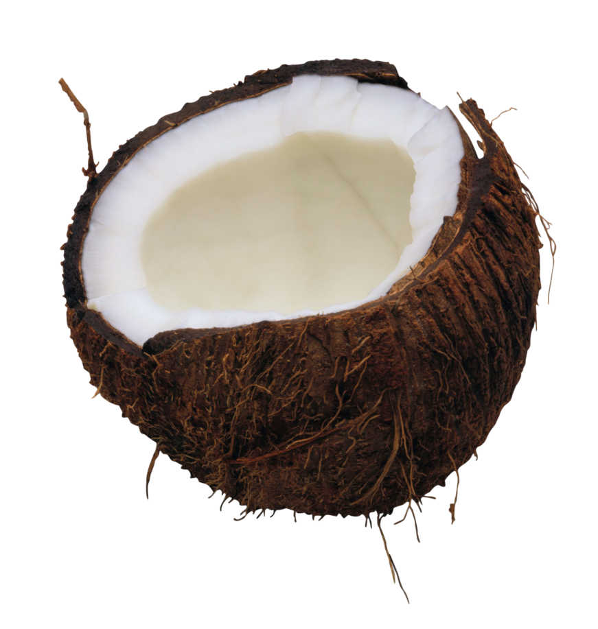 Immagine PNG di cocco
