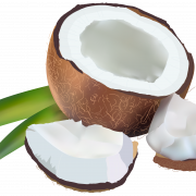 Coconut trasparente