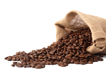 Image PNG gratuite de grains de café
