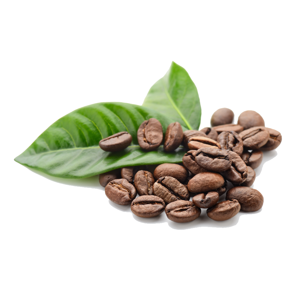 Imagem PNG grátis de feijões de café