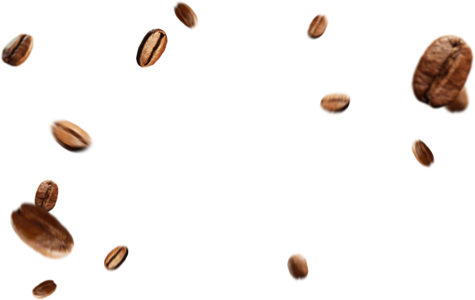 Grains de café PNG