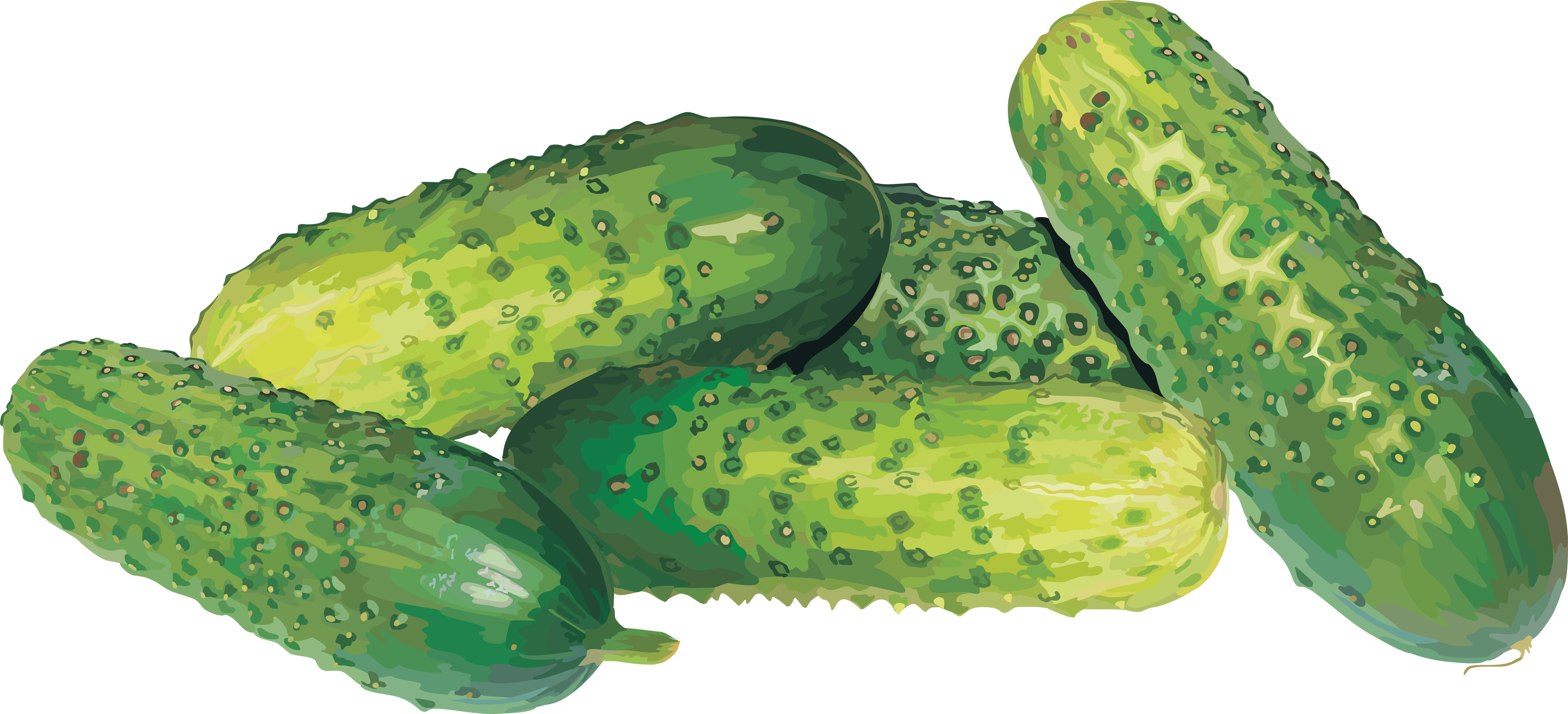 Cucumber Free Download PNG