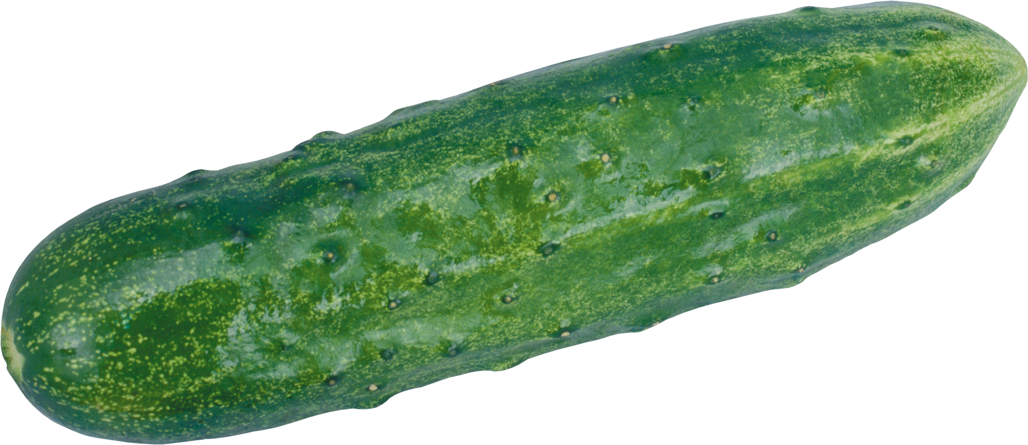 Cucumber png clipart