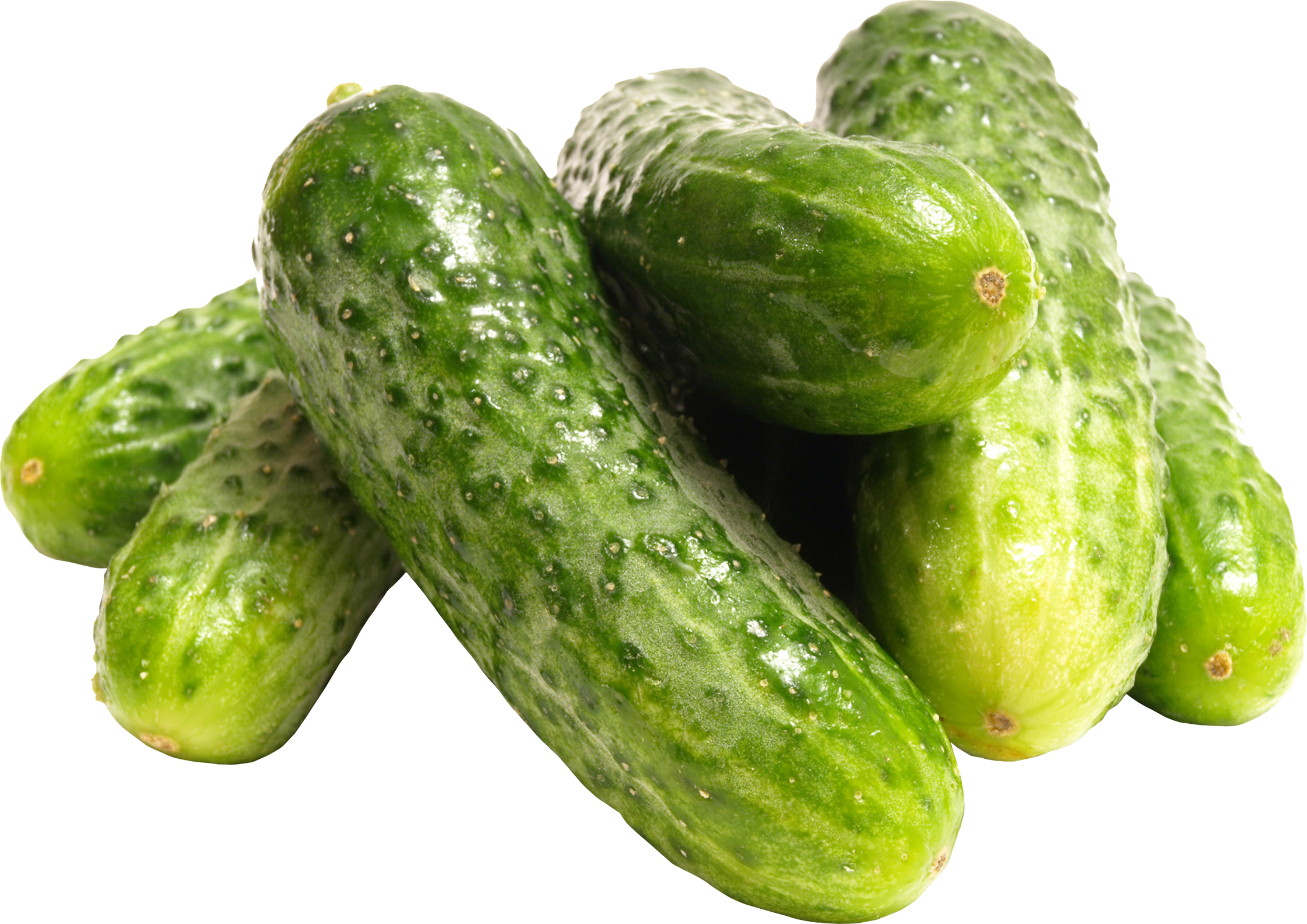Cucumber Transparent