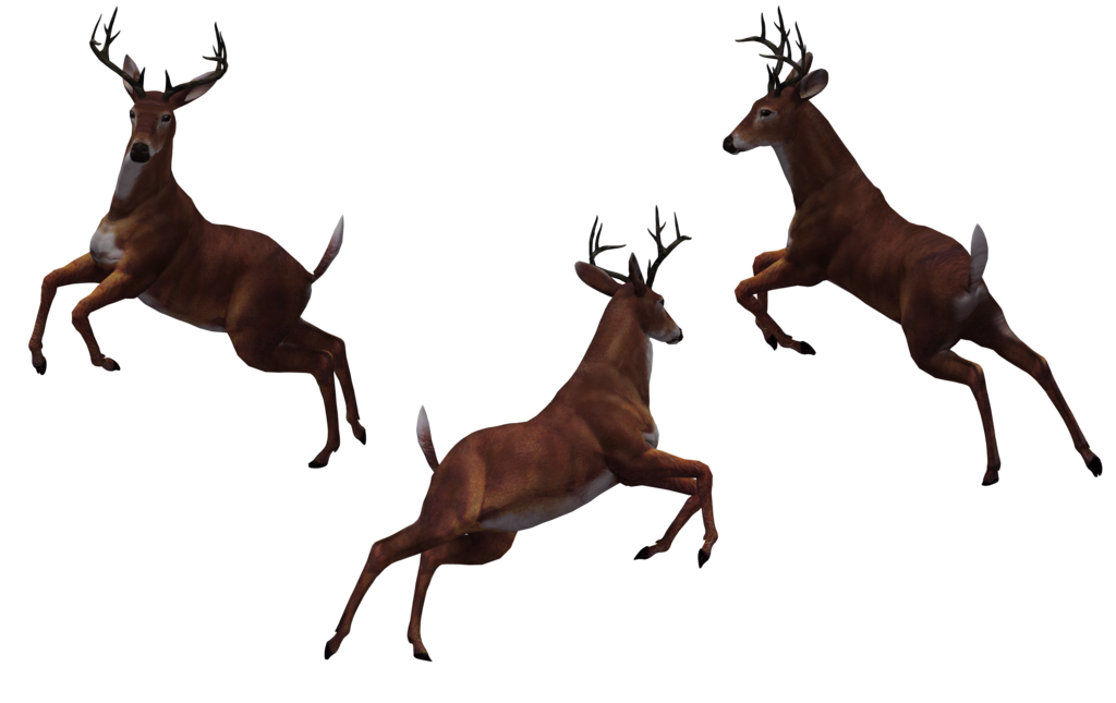 Deer Free Download PNG