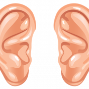 Ear Download PNG